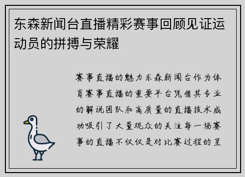 东森新闻台直播精彩赛事回顾见证运动员的拼搏与荣耀